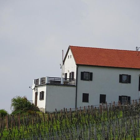 Villa Kellerstöckl Eisenberg/Pinka Weiner Eisenberg an der Pinka Exterior foto