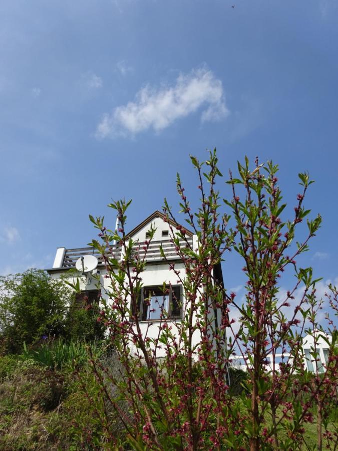 Villa Kellerstöckl Eisenberg/Pinka Weiner Eisenberg an der Pinka Exterior foto