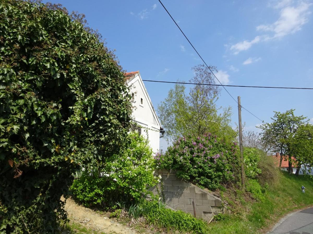 Villa Kellerstöckl Eisenberg/Pinka Weiner Eisenberg an der Pinka Exterior foto